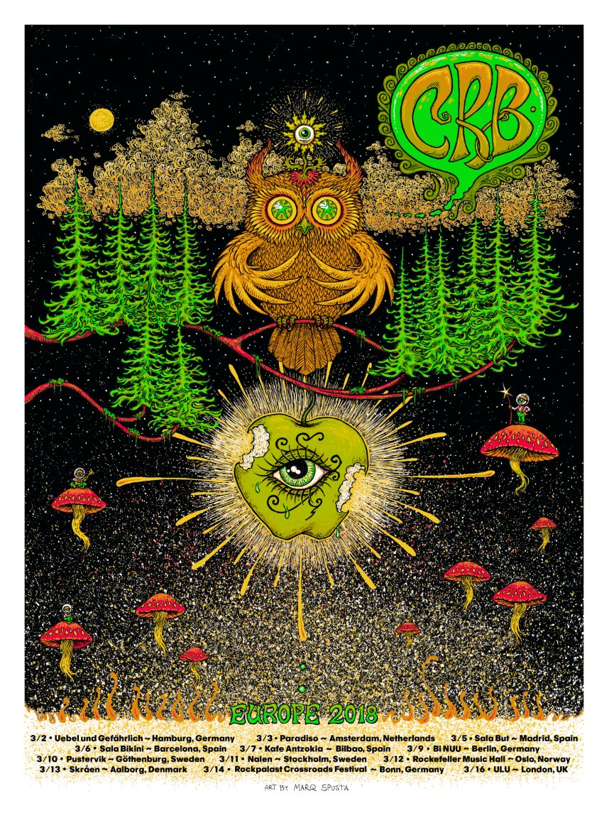 Chris Robinson Brotherhood poster by Marq Spusta