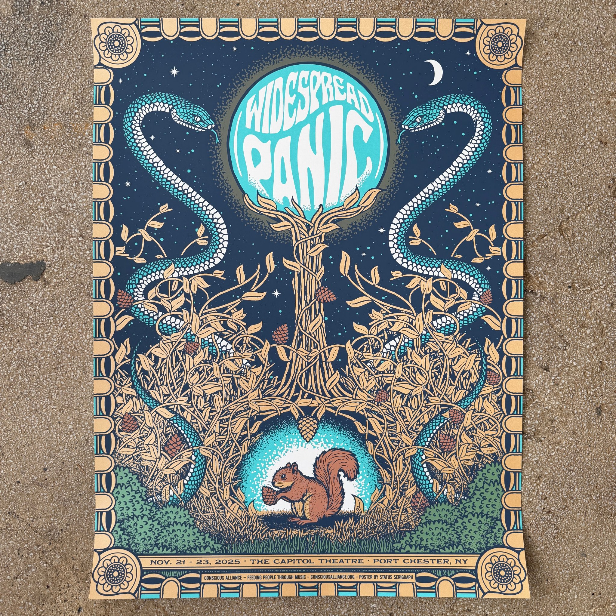 Widespread Panic poster by Justin Helton