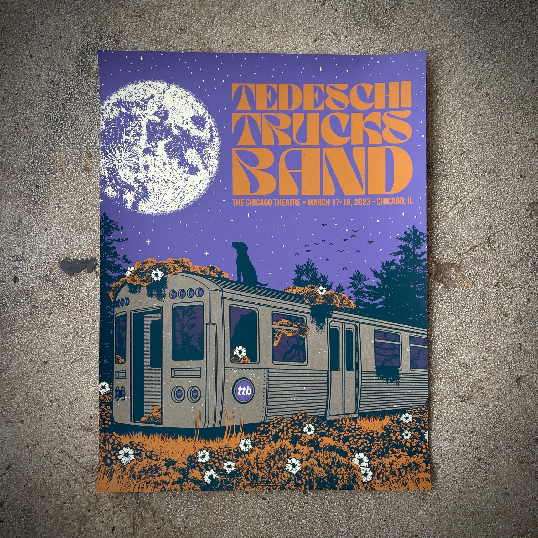 Tedeschi Trucks Band poster by Status Serigraph