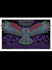 Electric Forest Festival OWL poster by Emek