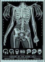 Queens of the Stone Age poster by Emek