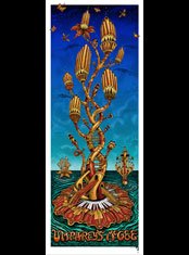Umphrey's McGee poster by Emek