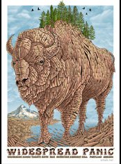 Widespread Panic poster by Emek