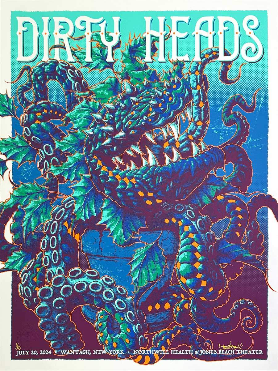 Dirty Heads poster by Bioworkz