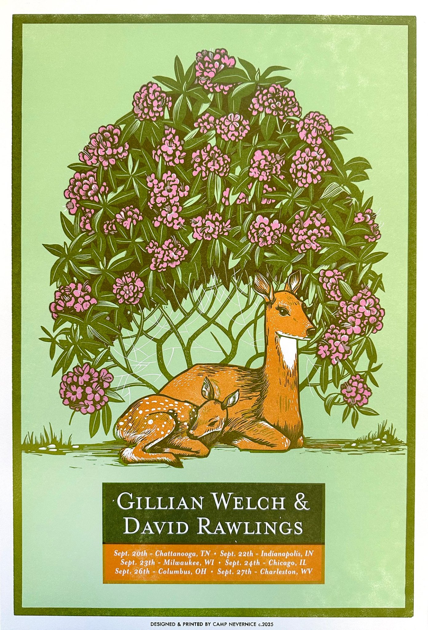 Gillian Welch & David Rawlings poster by Camp Nevernice