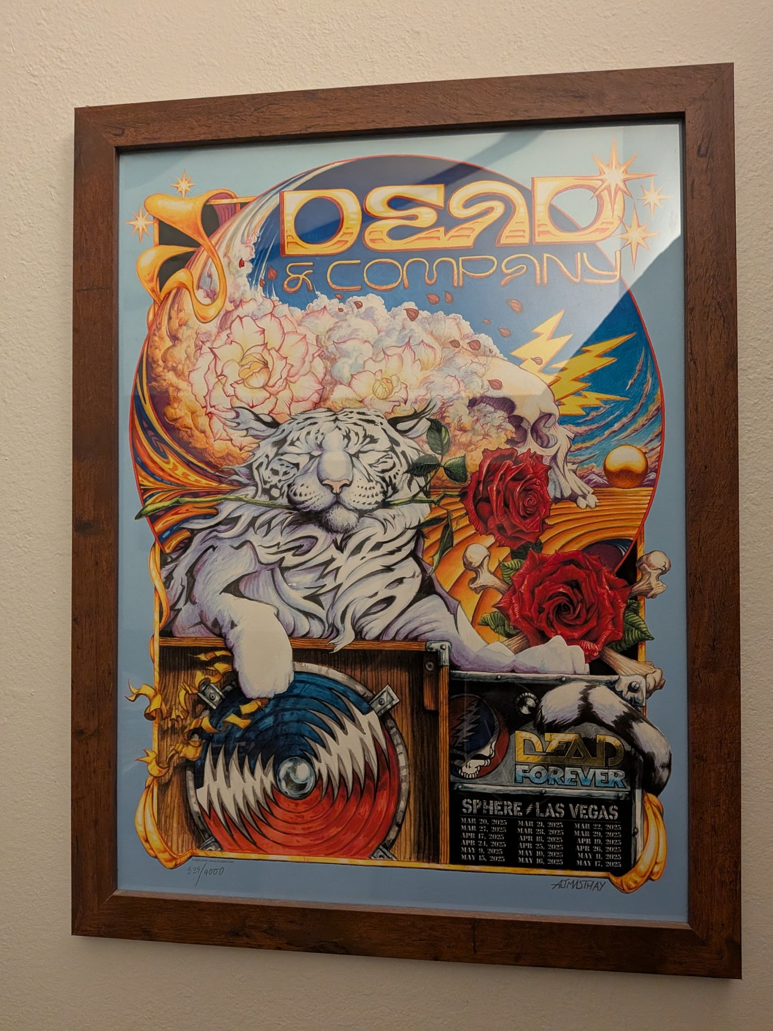 Dead & Company poster by AJ Masthay