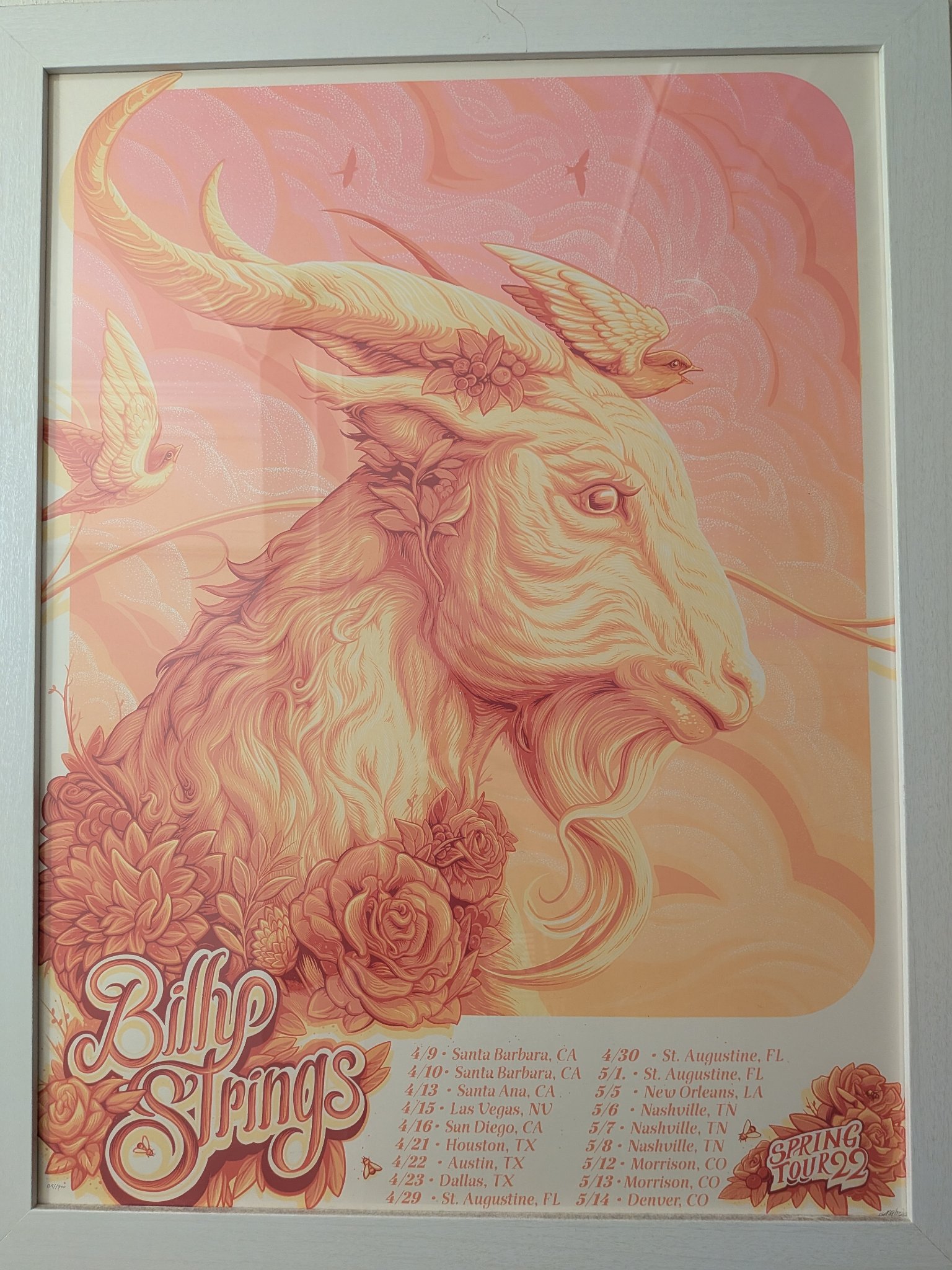 Billy Strings poster