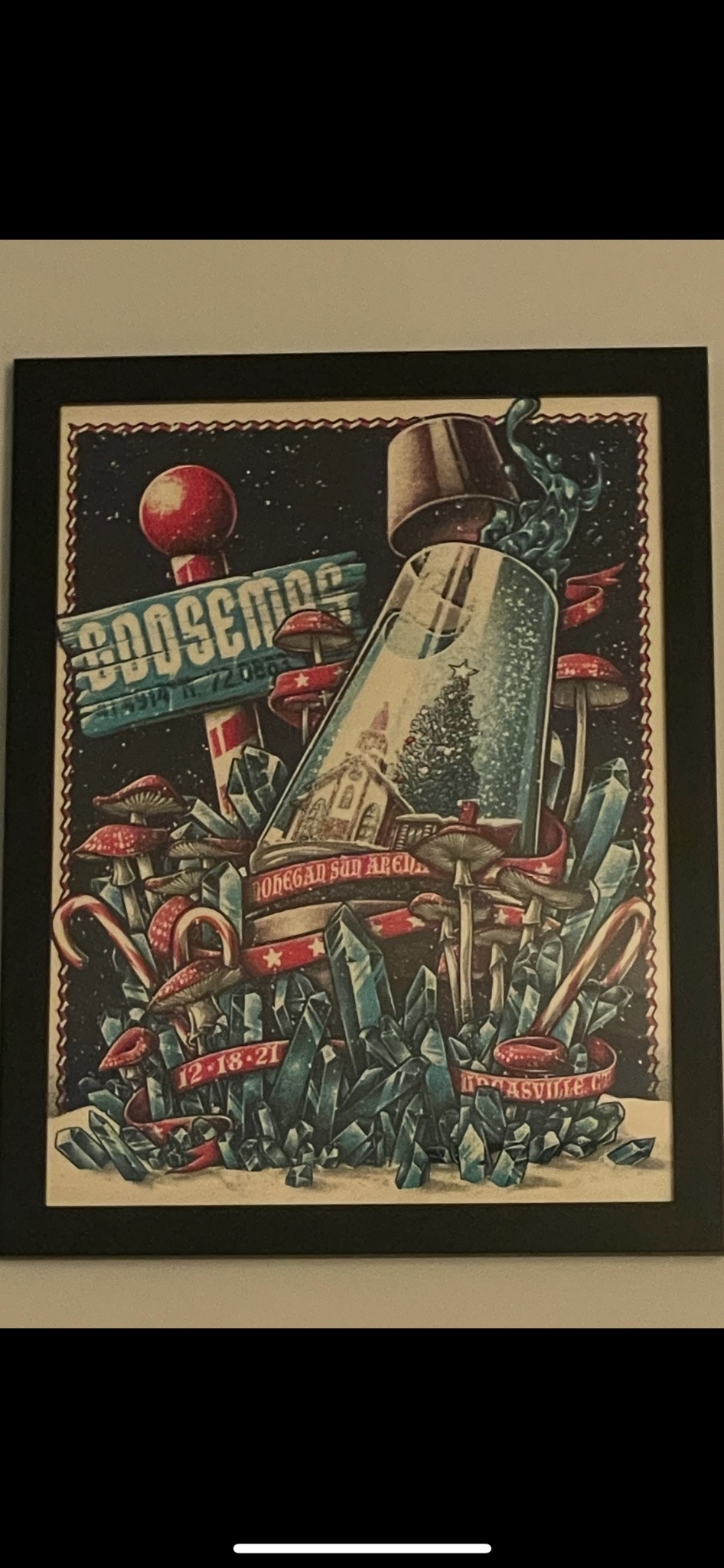 Goose poster