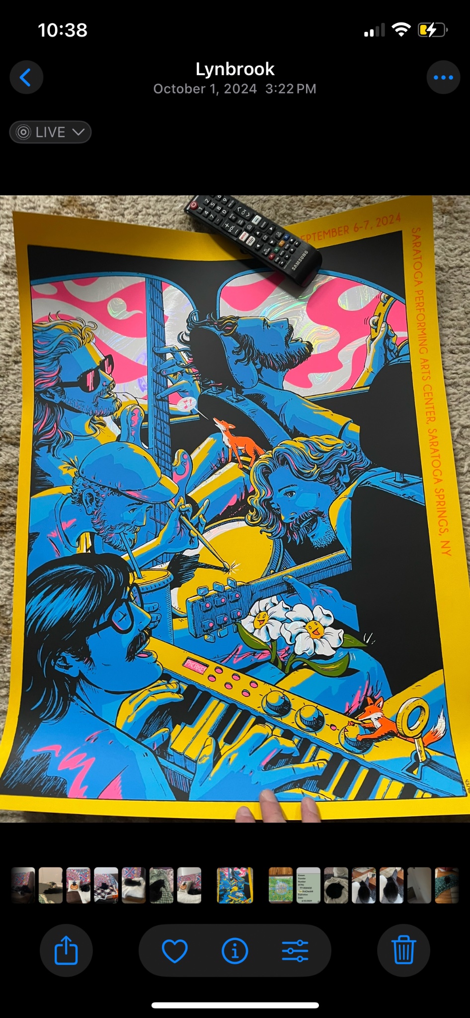Goose poster by James Flames