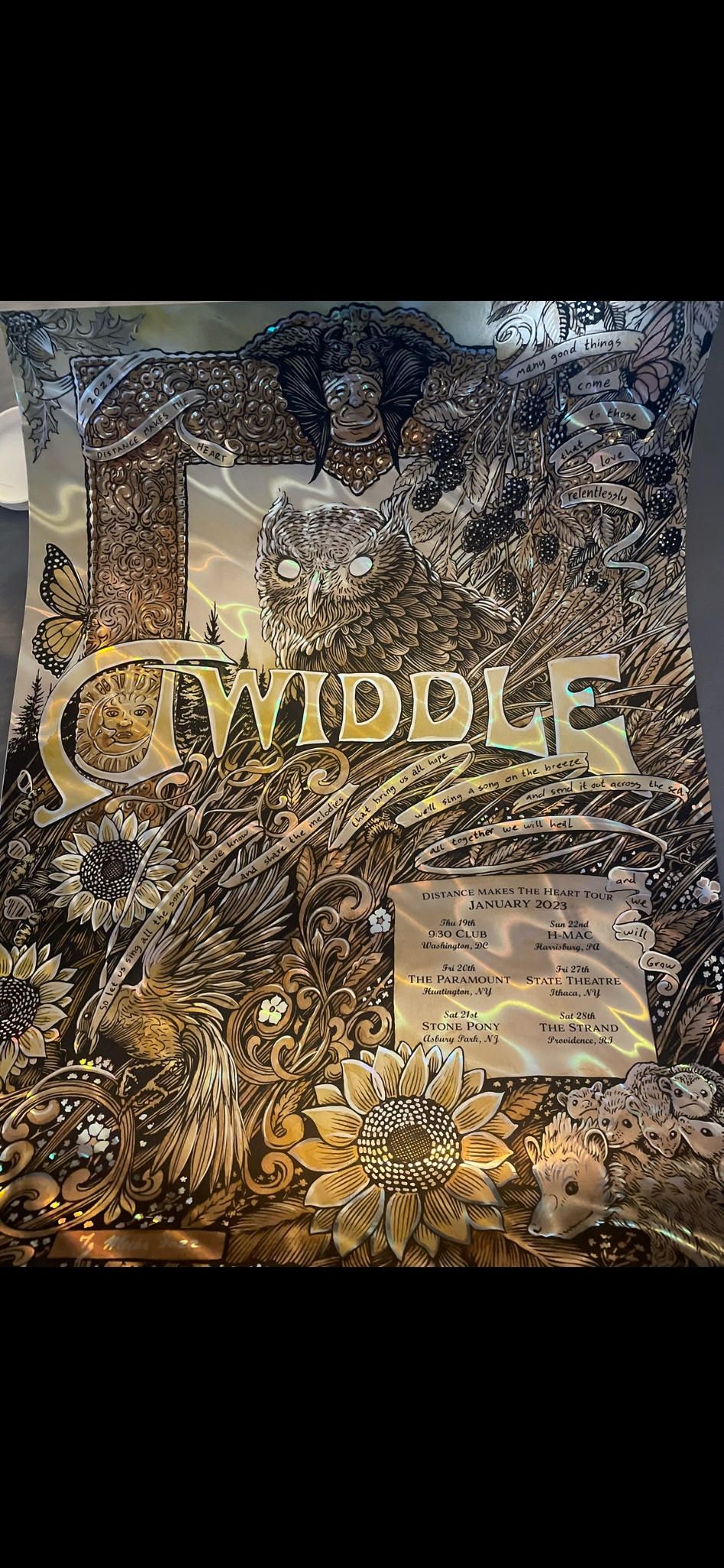 Twiddle poster by Sunnyday Illustration's