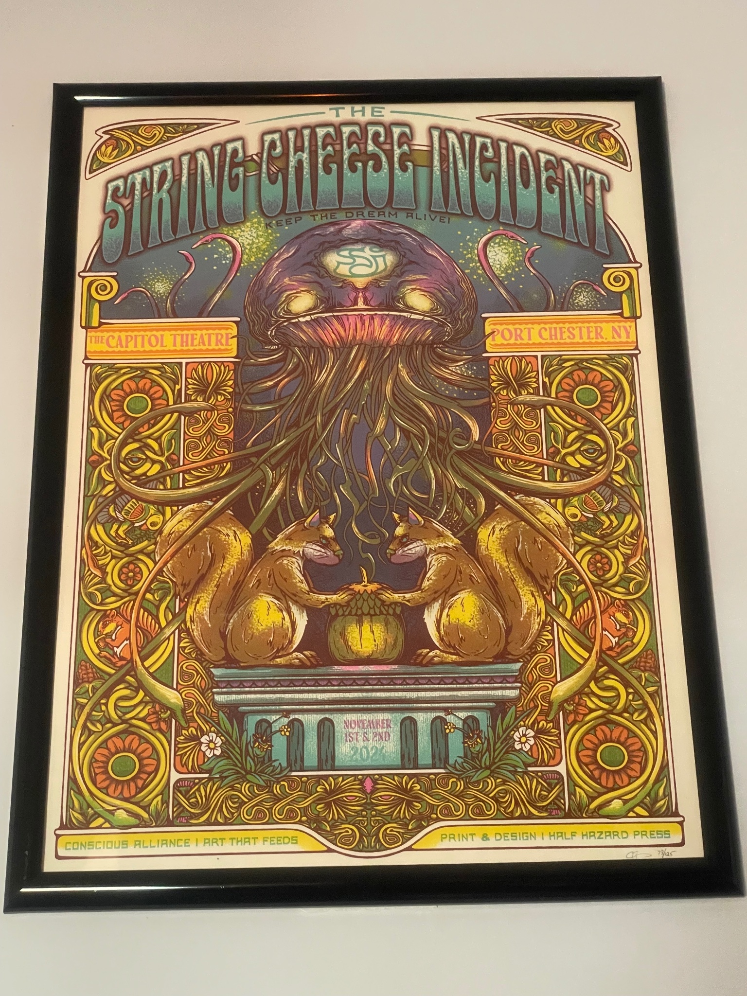 The String Cheese Incident poster by Half Hazard Press