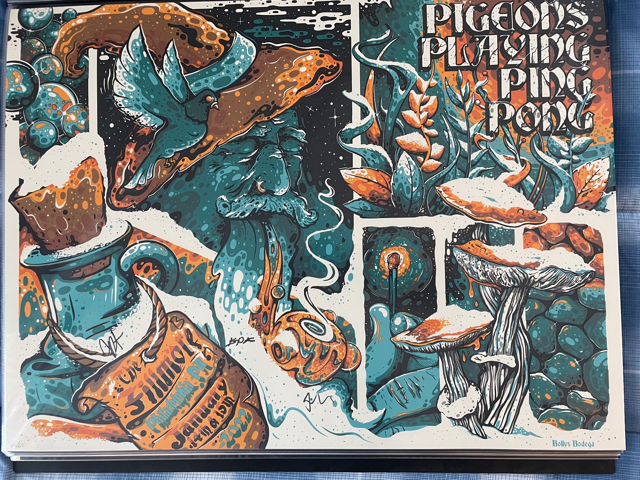 Pigeons Playing Ping Pong poster by Twin Home Prints