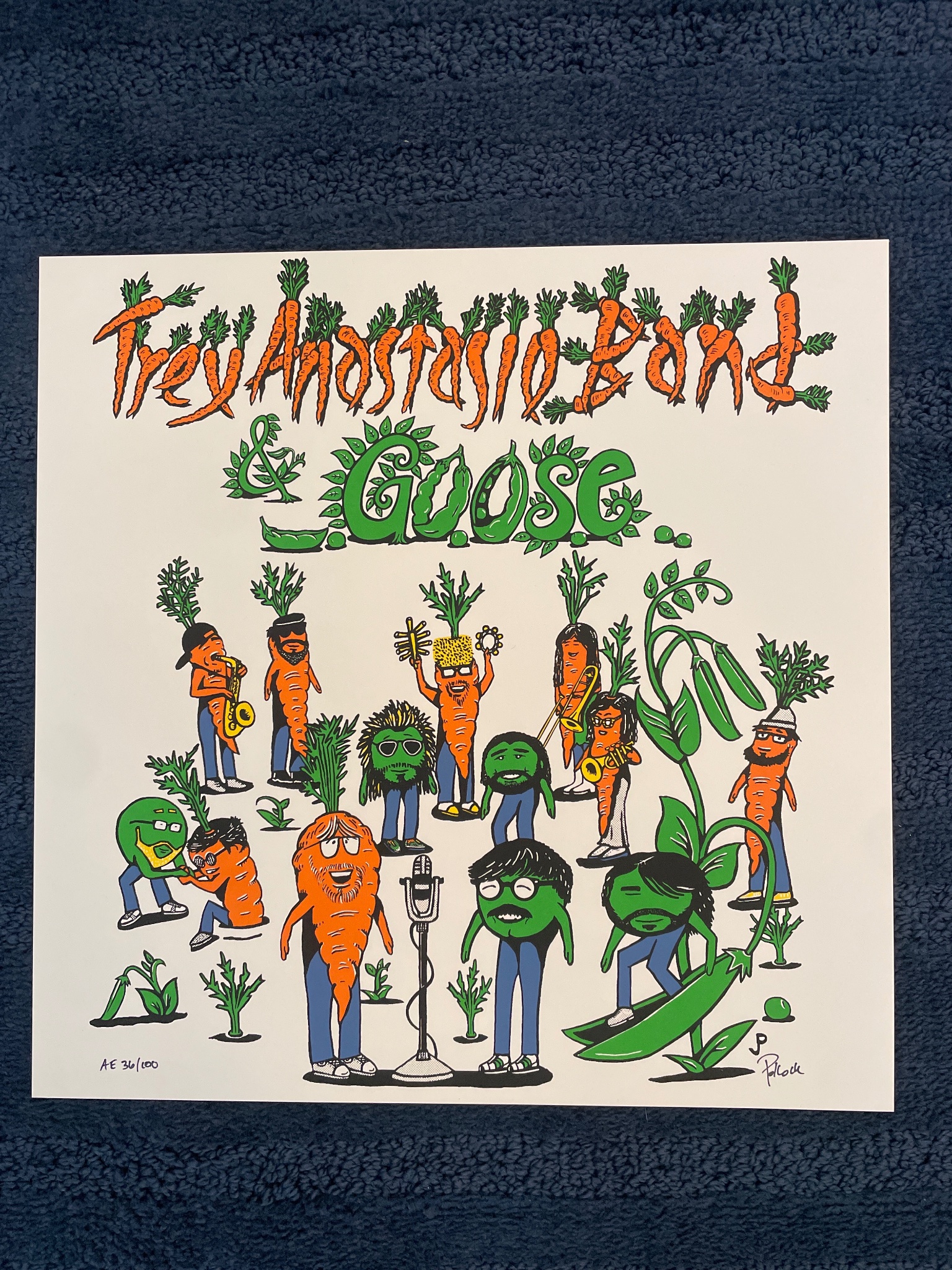 Trey Anastasio Band and Goose poster by Jim Pollock