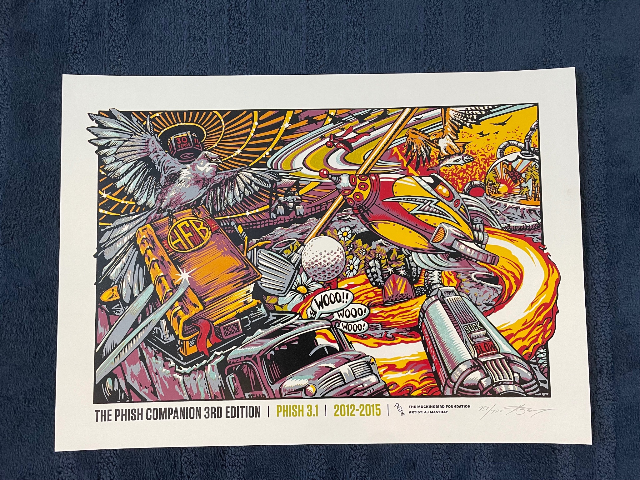 Phish poster by AJ Masthay