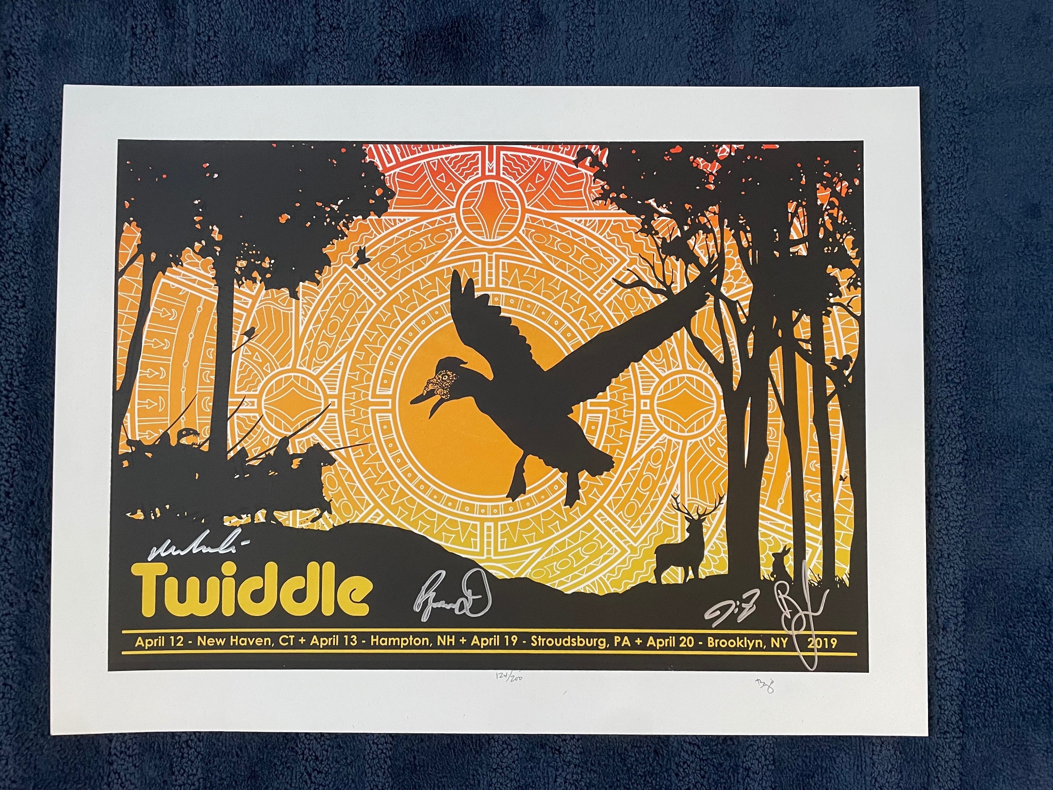 Twiddle poster