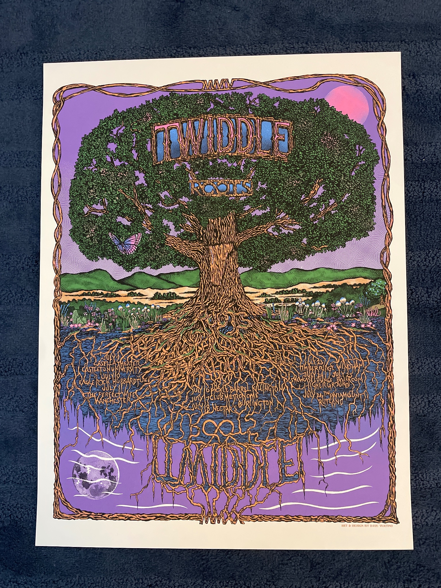 Twiddle poster by Dave Vertino