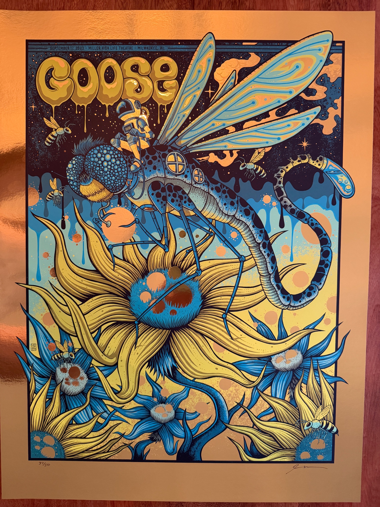 Goose poster by Jim Mazza