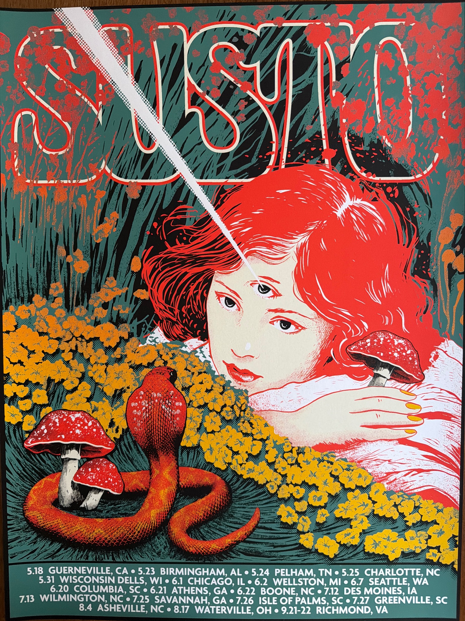 SUSTO poster