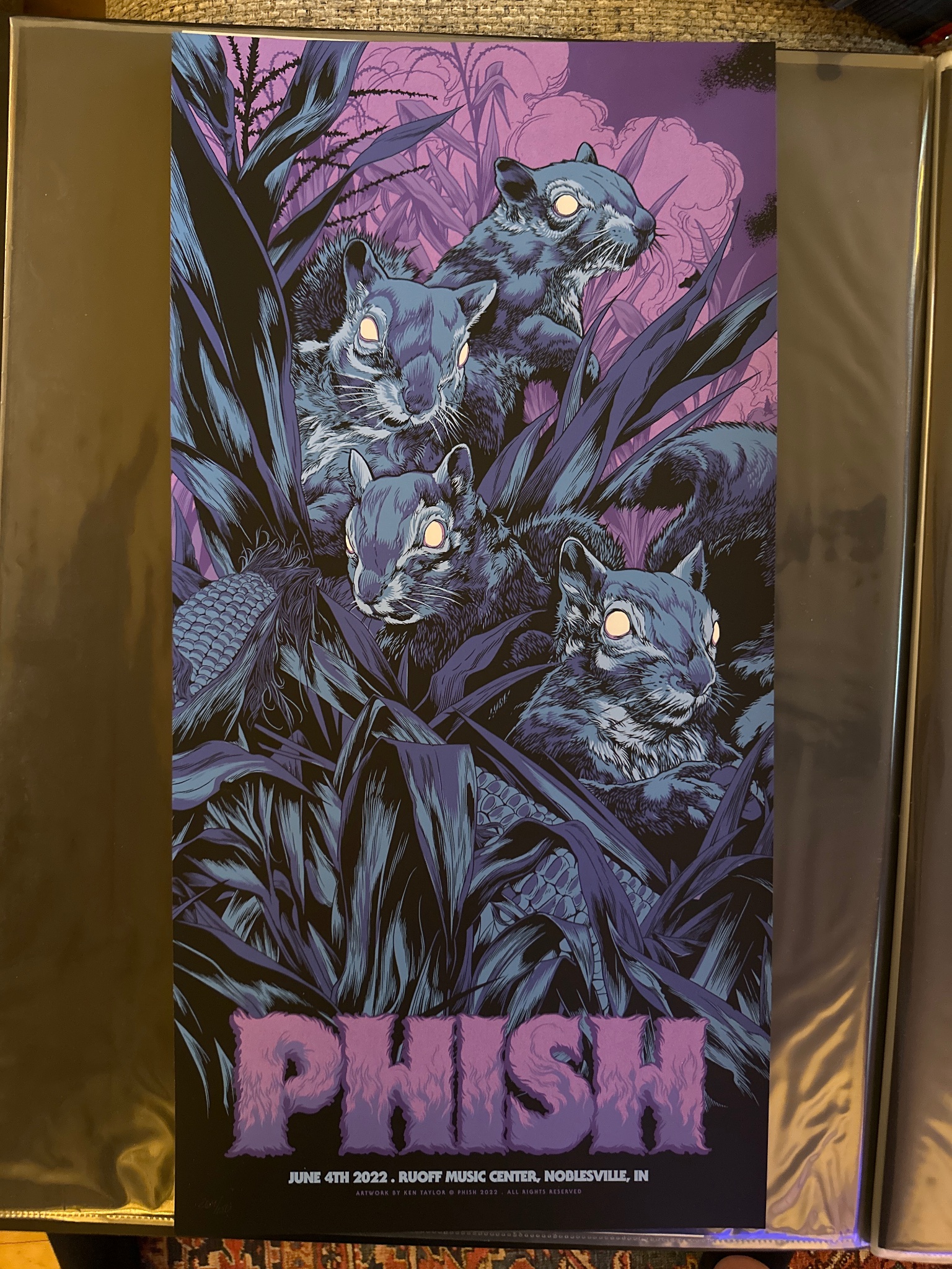 Phish poster by Ken Taylor